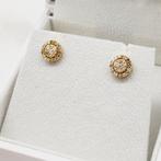 Sans Prix de Réserve - Boucles doreilles - 14 carats Or, Nieuw