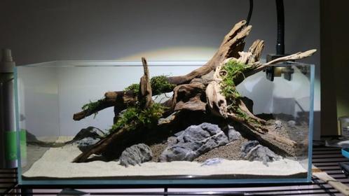 Fine sinking wood 15-25cm - Aquarium decoratie mangrove hout, Dieren en Toebehoren, Vissen | Aquaria en Toebehoren, Nieuw, Verzenden