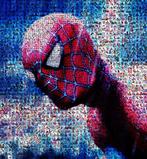 David Law - Crypto Spiderman IV - Format XL 60x60, Antiek en Kunst