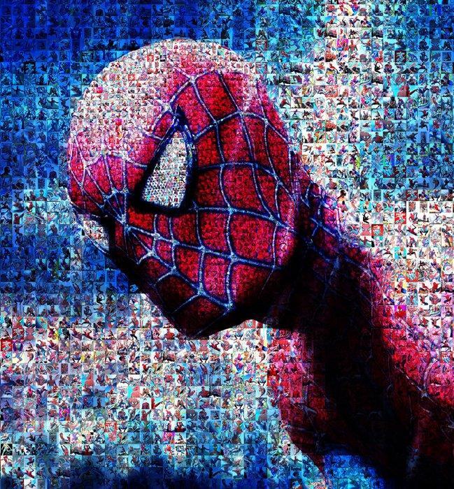 David Law - Crypto Spiderman IV - Format XL 60x60, Antiek en Kunst, Kunst | Designobjecten
