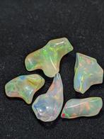 19 karaat - AAA natuurlijke edelstenen Welo-opalen,, Verzamelen, Mineralen en Fossielen