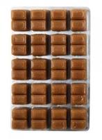 Diepvriesvoeding Cyclops  100 gram (Diepvriesvoer), Dieren en Toebehoren, Ophalen of Verzenden, Nieuw, Overige typen
