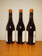 2024 Foradori Fuoripista Pinot Grigio - Trentino Alto Adige, Collections