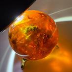 Boule avec abeille et pierres dambre baltique. - Ambre -, Antiek en Kunst