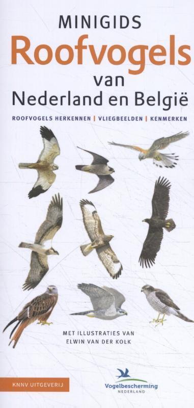 Minigids Roofvogels van Nederland en België / Minigids, Boeken, Hobby en Vrije tijd, Gelezen, Verzenden