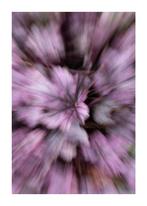 Esther Beil - The Purple