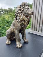 Beeld, statue of golden bronze lion - 45 cm - polyresin, Antiek en Kunst