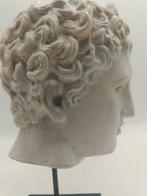 sculptuur, Testa di Eros - 33 cm - marmerstof