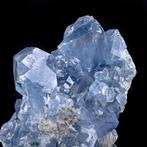 Prachtige blauwe edelstenen Celestine kristallen clusters -, Verzamelen