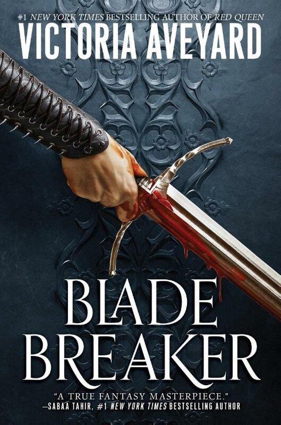 Blade breaker / Realm breaker / 2 9780063259973, Boeken, Taal | Engels, Gelezen, Verzenden