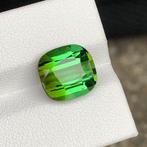 Zonder Minimumprijs - 1 pcs Groen Toermalijn - 7.15 ct -, Nieuw