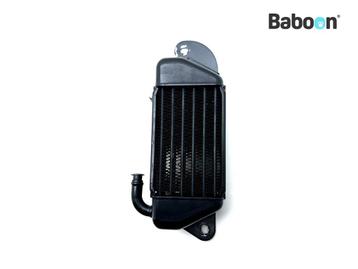 Oliekoeler BMW R 1200 C Independent 2000-2002 (R1200C) Right, Verzenden