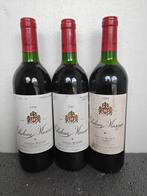 1990 Chateau musar - Abruzzo - 3 Fles (0,75 liter), Nieuw