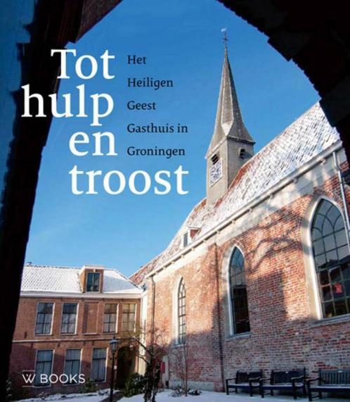 Tot hulp en troost 9789462581654 Martin Hillenga, Boeken, Geschiedenis | Stad en Regio, Zo goed als nieuw, Verzenden