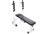 Veiling - Physionics Dip Bars Halterbank, Sport en Fitness, Nieuw