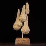 Natuurlijke structuur van een larvenmierenheuvel - Zeldzame