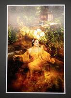 Viet Ha Tran - Xian: Myths of the Beauties, Diao Chan