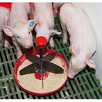Mangeoire mini-piglet pour porcelets 2litres, Articles professionnels, Agriculture | Aliments pour bétail