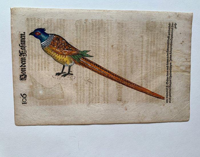 World - wereld; Conrad Gesner - Vogelbuch - 1581-1600, Livres, Atlas & Cartes géographiques