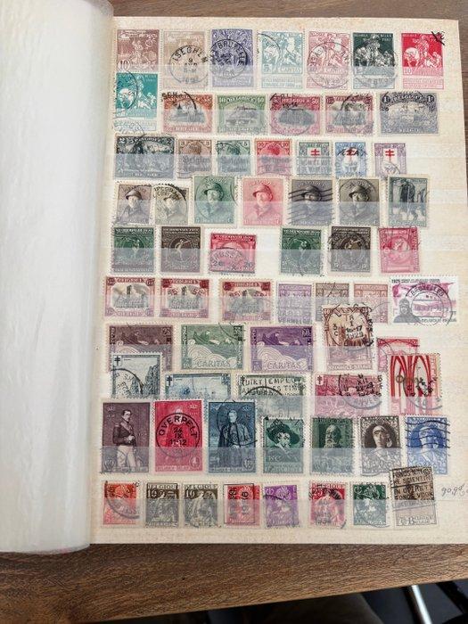 België 1896/2023 - collectie gebruikte postzegels - OBP 2024, Postzegels en Munten, Postzegels | Europa | België