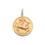 Gouden sterrenbeeld hanger; Steenbok (kettinghanger), Overige merken, Goud, Gebruikt, Ophalen of Verzenden