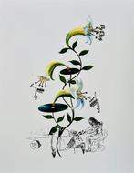 Salvador Dali (1904-1989) - Le Lys Musical