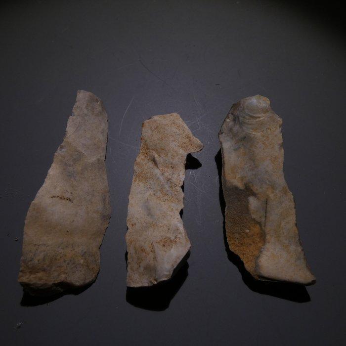 Neolithisch 3 vuurstenen. 7 cm L. Mes - 5000 v.Chr. Bijl, Antiek en Kunst, Antiek | Overige Antiek