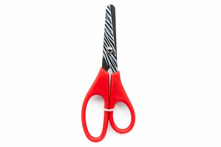 Kinderschaar (rood, zebraprint), Doe-het-zelf en Bouw, Gereedschap | Overige machines, Nieuw, Verzenden
