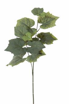 Druivenblad tak l50cm groen mooi blad, Huis en Inrichting, Woonaccessoires | Kunstplanten en Kunstbloemen, Nieuw