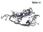 Kabelboom Triumph Tiger 1200 Explorer XCX 2016-2017, Motoren, Verzenden, Gebruikt