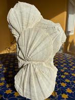 Doopvontschelp - Gefossiliseerde schelp - Gigantotecten, Verzamelen