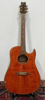 Alliance VP - VP-05C - - Guitare semi-acoustique - Corée du, Musique & Instruments