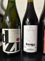 2018 Houillon Bruyere Ploussard Aspis en 4e Feuille. 2019, Verzamelen, Wijnen, Nieuw