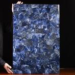 Tafel van sodaliet met mozaïek - Taxidermie volledige