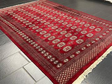 Buchara - Tapis - 280 cm - 195 cm beschikbaar voor biedingen