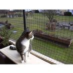 NIEUW - Kattennet 3 x 4 m, Animaux & Accessoires, Accessoires pour chats, Verzenden