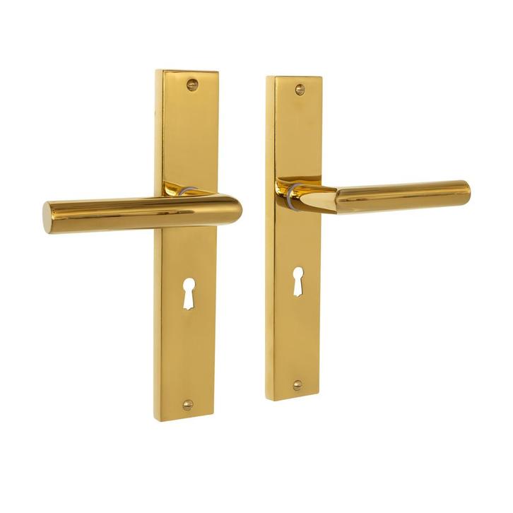 Ferro geveerd op schild sleutelgat 55mm messing PVD, Doe-het-zelf en Bouw, Hang- en Sluitwerk, Klink of Kruk, Nieuw, IJzer, Ophalen of Verzenden