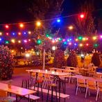 Feestverlichting voor buiten Patio Lichtsnoer kleur 40m met, Kunststof, Verzenden, Minder dan 50 watt, Overige typen