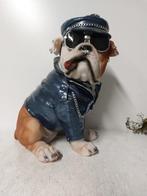 Beeld, sitting English bulldog biker - 33 cm - hoogwaardig