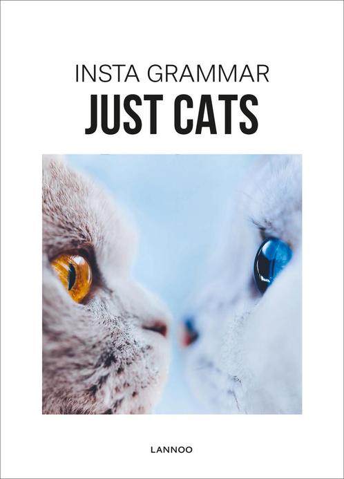 Insta Grammar - Just Cats (9789401463485, Irene Schampaert), Antiquités & Art, Antiquités | Livres & Manuscrits, Envoi