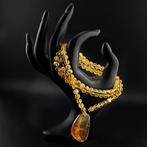 Ambre - Genuine BALTIC AMBER Necklace – Golden Honey Beads