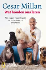 Wat honden ons leren 9789059567429 Cesar Millan, Boeken, Verzenden, Gelezen, Cesar Millan