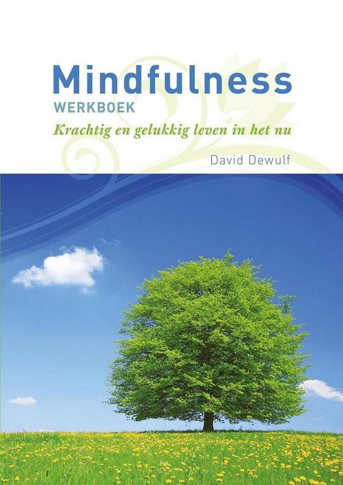 Mindfulness werkboek 9789086792610 David Dewulf, Boeken, Psychologie, Zo goed als nieuw, Verzenden