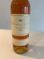 1995 Château dYquem - Sauternes 1er Cru Supérieur - 1, Collections, Vins