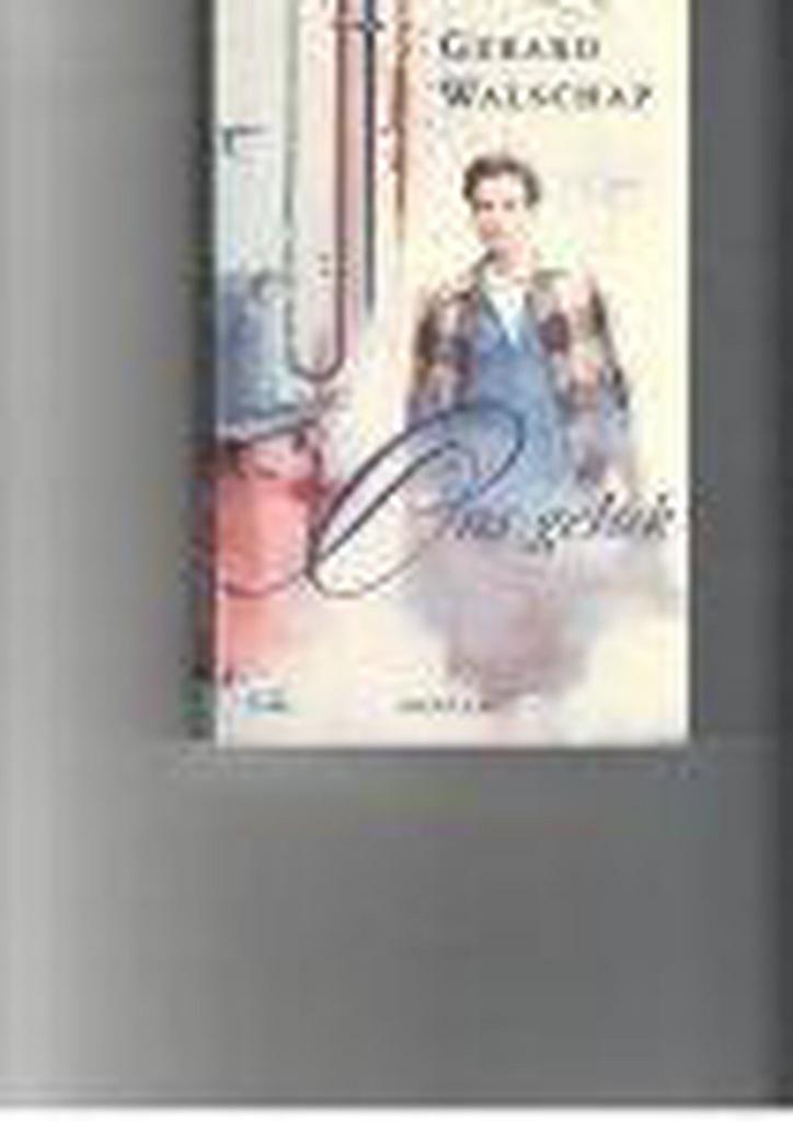 ONS GELUK 9789022308295 G. Walschap, Boeken, Romans, Gelezen, Verzenden