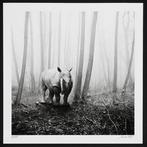 Frank Machalowski - tierwald#15, Antiek en Kunst