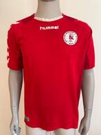 Denmark - Équipes nationales de football - Maillot de, Collections
