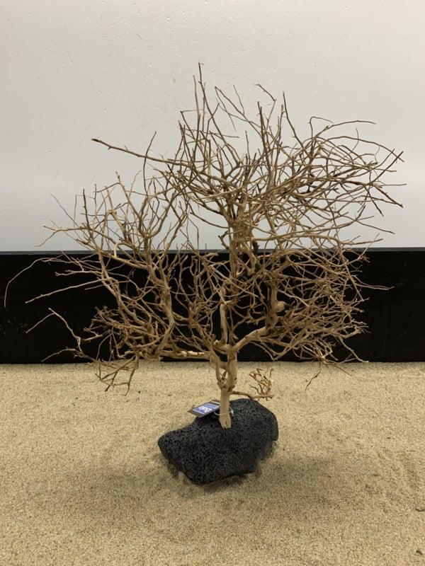 Osaka Bonsai Tree nr 17 - 43x15x55cm - aquascaping boom, Dieren en Toebehoren, Vissen | Aquaria en Toebehoren, Plant(en), Steen of Hout