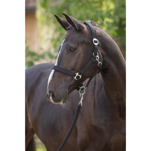 Licol doria, black, cheval  - kerbl, Animaux & Accessoires, Autres accessoires pour animaux, Neuf