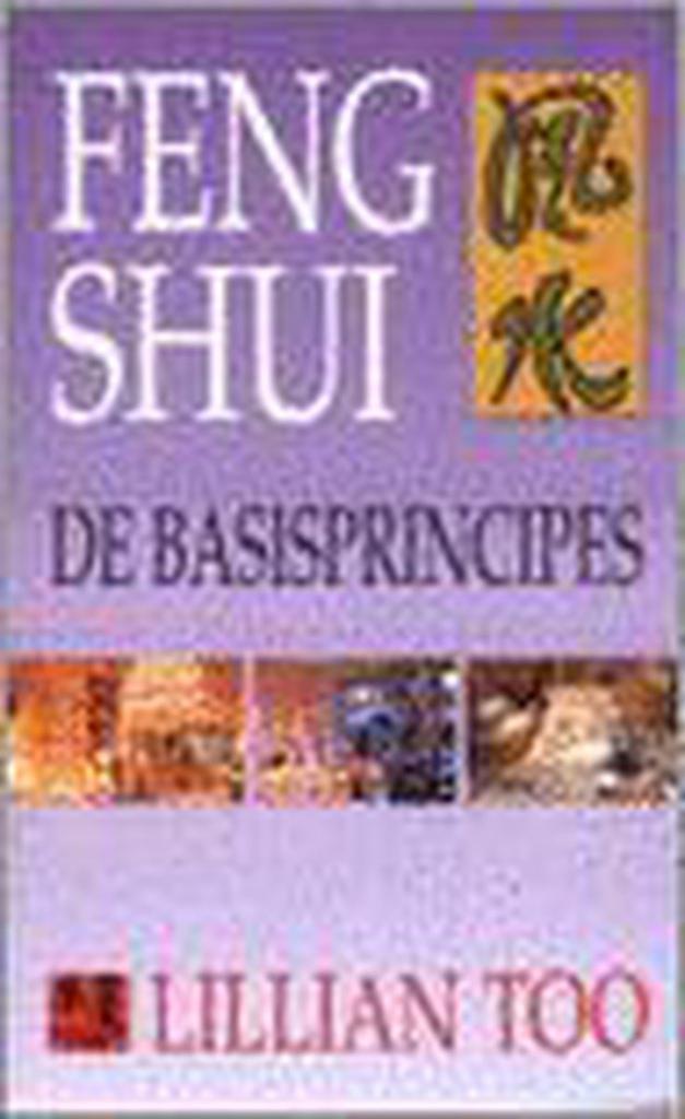 FENG SHUI. DE BASISPRINCIPES 9789055016747 L. Too, Boeken, Esoterie en Spiritualiteit, Gelezen, Verzenden